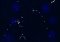 Solace image 2 thumbnail