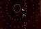 Solace image 6 thumbnail