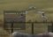 Soldat image 3 thumbnail