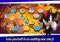 SONIC RUNNERS iPhone image 4 thumbnail