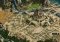 Sparta: War of Empires Webapps image 3 thumbnail