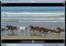 Splashtop Remote Desktop image 2 thumbnail
