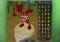 Spore Video