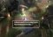 Star Wars: Force Arena Android image 4 thumbnail
