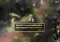 Star Wars: Force Arena Android image 6 thumbnail