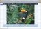 Star Watermark image 5 thumbnail
