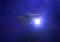 StarMade image 6 thumbnail