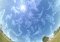 Stellarium Mac image 2 thumbnail