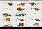 Stickered for Messenger iPhone image 5 thumbnail