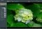 STOIK Imagic image 1 thumbnail