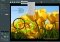 STOIK Imagic image 3 thumbnail