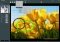STOIK Imagic image 4 thumbnail