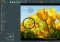 STOIK Imagic image 5 thumbnail