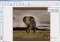 STOIK Stitch Creator image 2 thumbnail