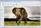 STOIK Stitch Creator image 3 thumbnail