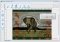 STOIK Stitch Creator image 4 thumbnail