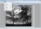 SunlitGreen Photo Editor image 6 thumbnail