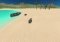 Survival Island: Evolve Android image 1 thumbnail