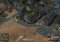 S.W.I.N.E. image 1 thumbnail