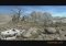 S.W.I.N.E. image 5 thumbnail