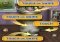 Talking Tom Cat iPhone image 3 thumbnail