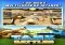 Tank Battles iPhone image 1 thumbnail