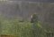Tarzan: Guardian of Earth image 3 thumbnail