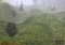 Tarzan: Guardian of Earth image 4 thumbnail