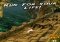 Temple Run iPhone image 5 thumbnail