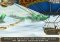 Temple Run Oz Android image 3 thumbnail