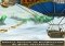 Temple Run: Oz iPhone image 3 thumbnail