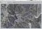 Terrabrowser Mac image 2 thumbnail