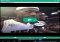 The best Vines Android image 1 thumbnail