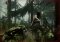 The Forest image 2 thumbnail