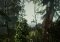 The Forest image 4 thumbnail