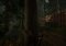 The Forest image 7 thumbnail