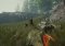 The Forest image 8 thumbnail