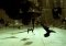 The Matrix Reloaded image 2 thumbnail