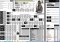 The Only Sheet image 1 thumbnail