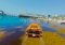 The Pinnacle of V image 4 thumbnail
