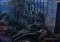 The Stroke of Midnight image 1 thumbnail