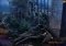 The Stroke of Midnight image 2 thumbnail