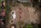 The Walking Dead No Man's Land Android image 1 thumbnail
