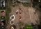 The Walking Dead No Man's Land Android image 2 thumbnail