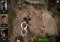 The Walking Dead No Man's Land Android image 6 thumbnail