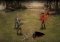 The Walking Dead: Road to Survival Android image 4 thumbnail