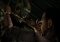 The Walking Dead: Season One Android image 6 thumbnail