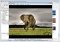 ThumbsPlus image 1 thumbnail