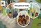 Toca Life: School Android image 3 thumbnail