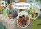 Toca Life: School iPhone image 3 thumbnail